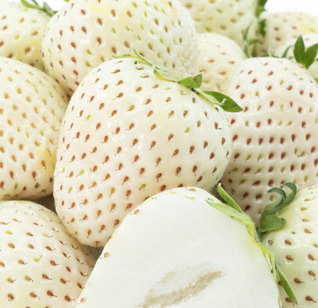 Why are White Strawberries unique?