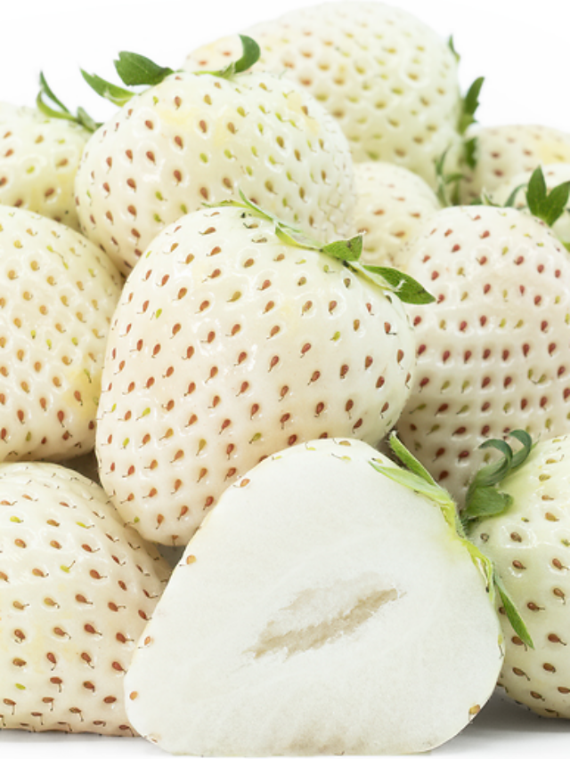 Why are White Strawberries unique?