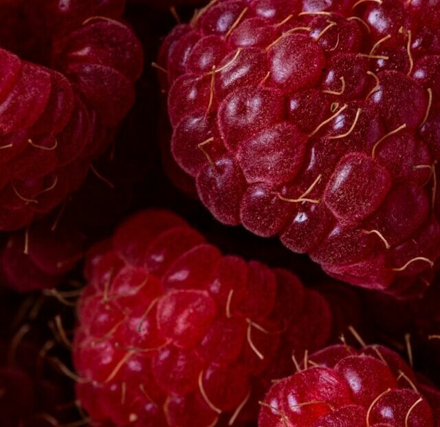 How to Grow Raspberries