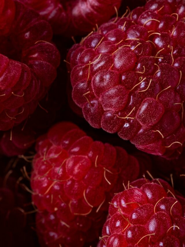 How to Grow Raspberries?