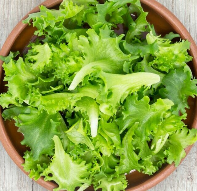 Can You Eat Raw Romaine Lettuce?