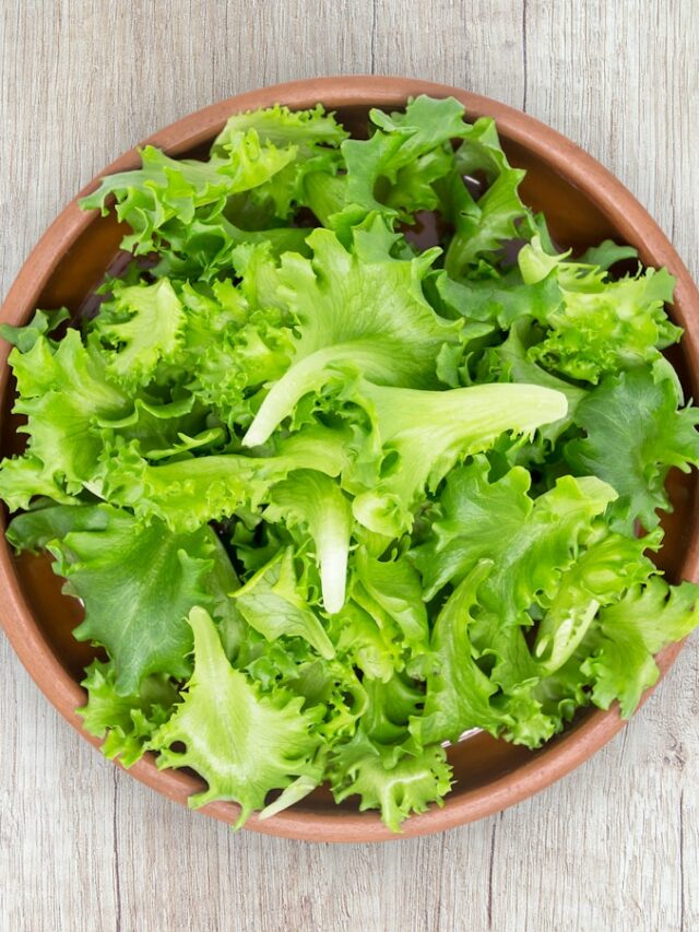 Can You Eat Raw Romaine Lettuce?