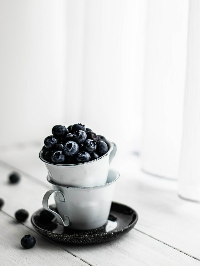 Simplest Way to Grow Blueberries at Home