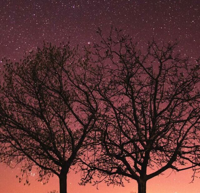 Lyrids Meteor Shower