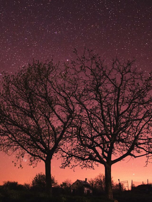 Lyrids Meteor Shower Peaking Tonight!