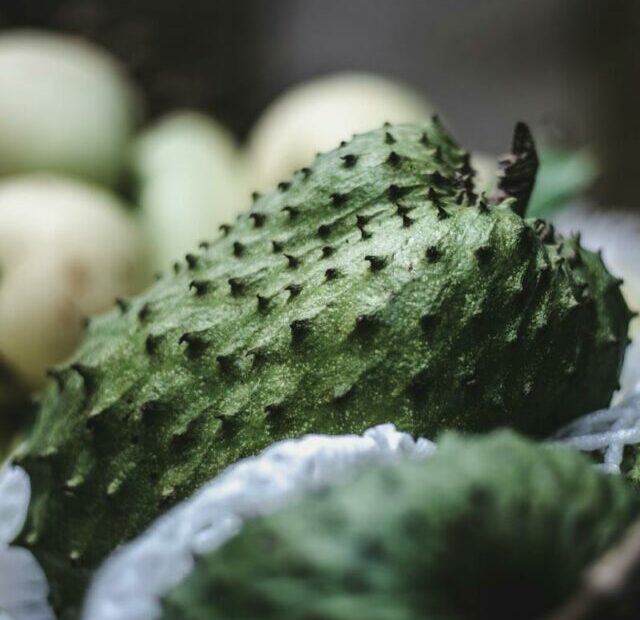 Soursop Fruit