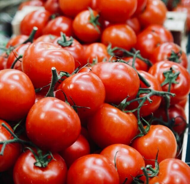 tomatoes